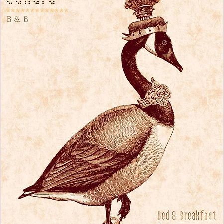 Madame Canard Baveno Exterior photo
